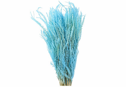 FeedSync:wholesale:5cc6fdda053b67b7678b4eb9f047cac0f6f4b3f5