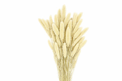 FeedSync:wholesale:56b45102f30e55614187fdd044f1ef968f22824a