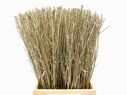 FeedSync:wholesale:b560c2d1b25dcae3c303bc882e4f8aaaa6f197db