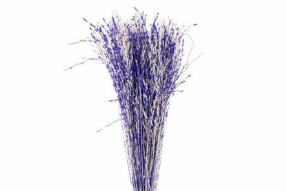 FeedSync:wholesale:f71e9810ec23e9cd265c3387ccf417f10dab3d5b