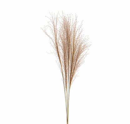 FeedSync:wholesale:b3dc25c4317b4fccb42e8b52e25ee378638df02f