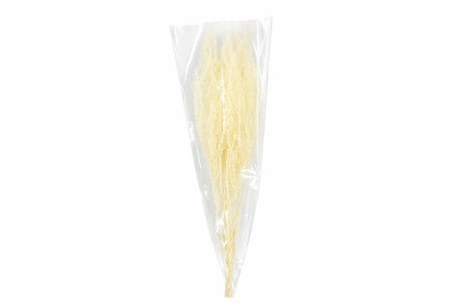 FeedSync:wholesale:62846af1295a5beb6c1fb4827ea95976cbd2b137