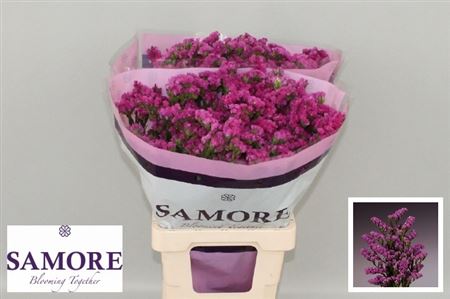 FeedSync:wholesale:a8768a8518c920234cd41428750f8399e9ba6db2