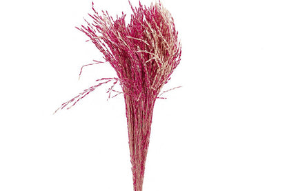FeedSync:wholesale:bec4df6b3757dd27b19170d447ea0c29358c0386