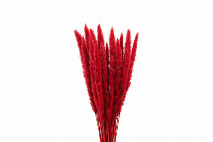 FeedSync:wholesale:5c448baedd4a3e561039b1f5a271c7b9612e6c9d