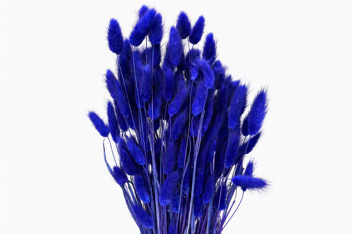 FeedSync:wholesale:dc56d120877dc2dea02ac5bf535720dfb8f67793