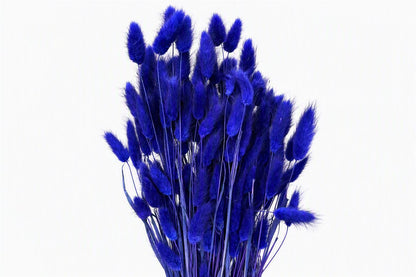 FeedSync:wholesale:dc56d120877dc2dea02ac5bf535720dfb8f67793