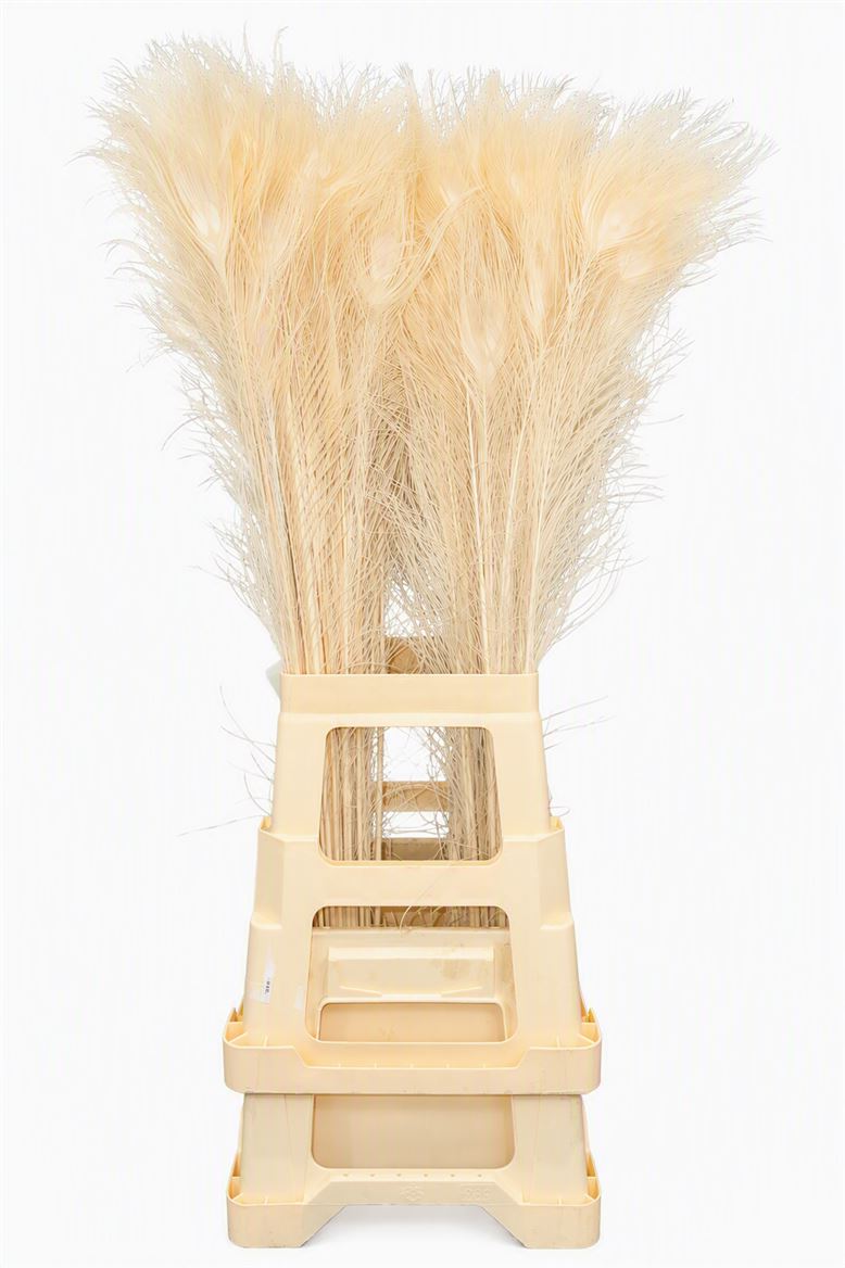 FeedSync:wholesale:5c06504b04693e45fa7de3e086779fc8ff1af0f2