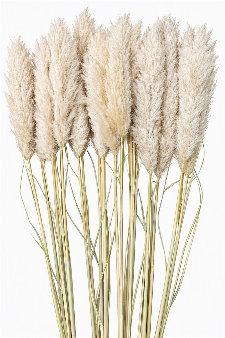 FeedSync:wholesale:8190c4d6d7ca2645d534723f5b2dd4671a8da1e8