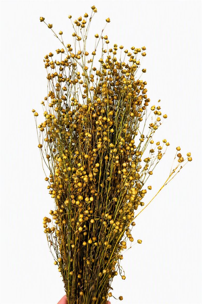 FeedSync:wholesale:f8bee45fd79a850d77bb5ec06e93b83f84280a04