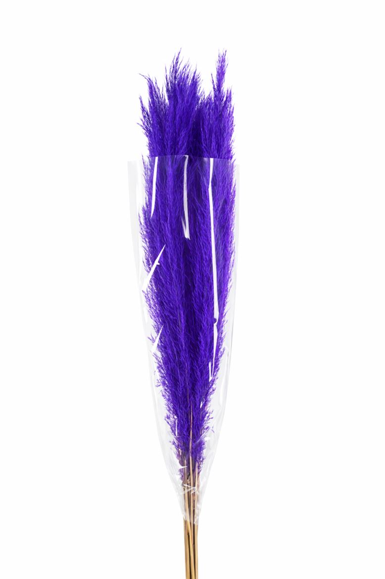 FeedSync:wholesale:8b5c2dfd37d9240b830d5063960cd04465b62a85