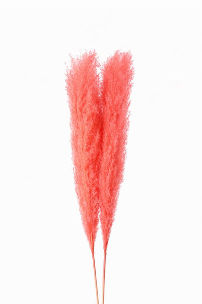 FeedSync:wholesale:cd68547edbb754727624de4dd090cb1759f63455