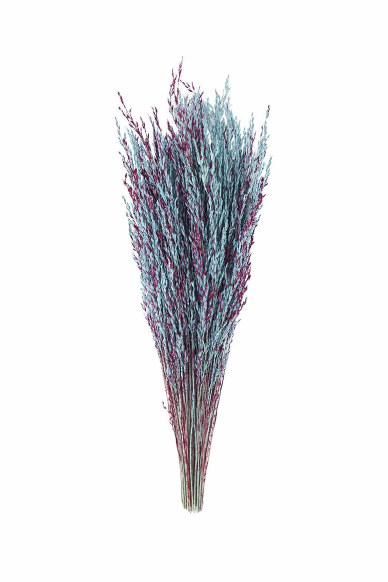 FeedSync:wholesale:f8c250d93733dd0b2eb682c0fdf575fd3599948d