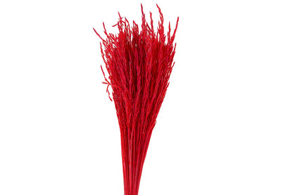 FeedSync:wholesale:ed6686c95ab705b660bfaf5537fb0a23a136b7a4
