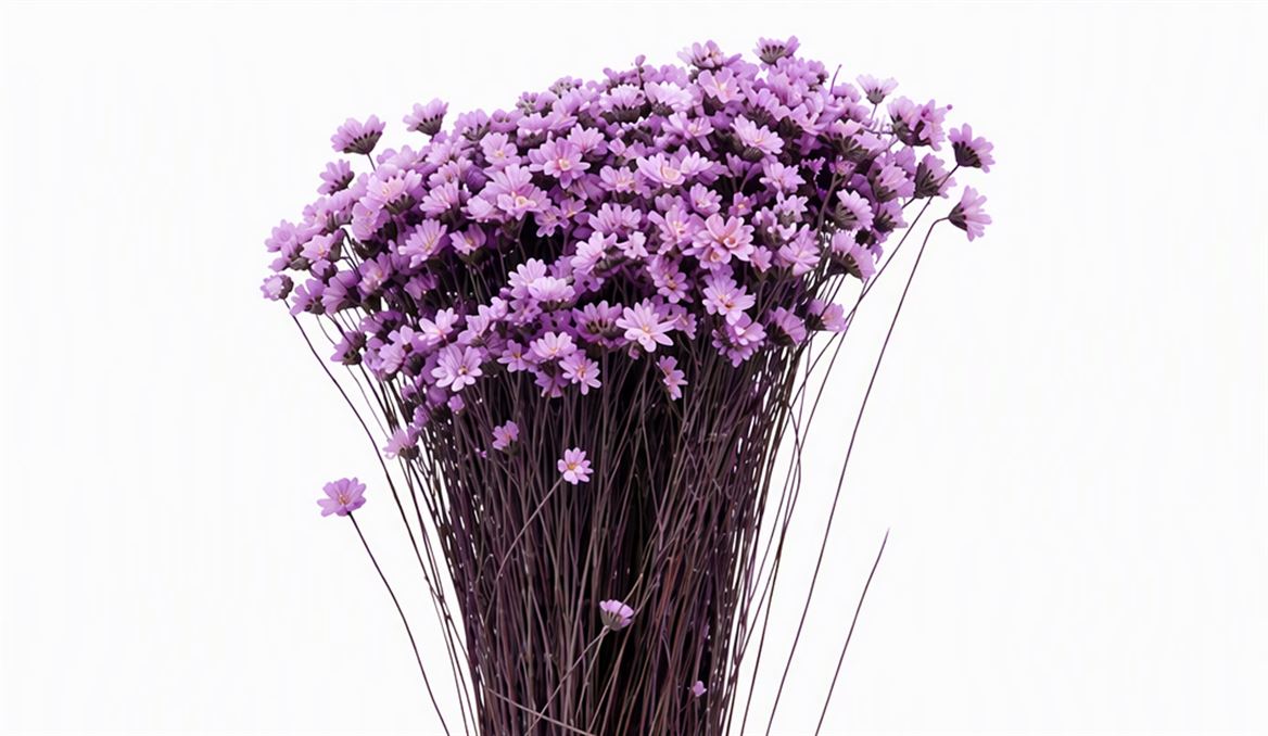FeedSync:wholesale:3fcb512b76de70fb5b918b472efbad20606982bf