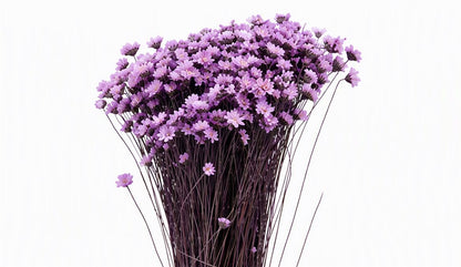 FeedSync:wholesale:3fcb512b76de70fb5b918b472efbad20606982bf