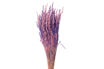 FeedSync:wholesale:fd2d63c453475a59788793781f638cb8e2532cca
