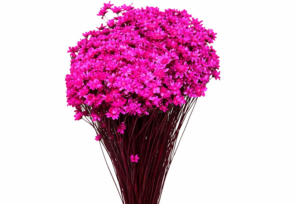 FeedSync:wholesale:aec95d92b2cf9b9cfcafc357387409c1b5e9824b