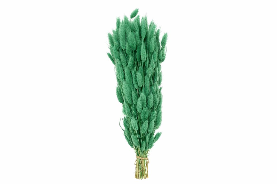 FeedSync:wholesale:ebfe973689a2b007251ca280761a83b3ab5ceb76