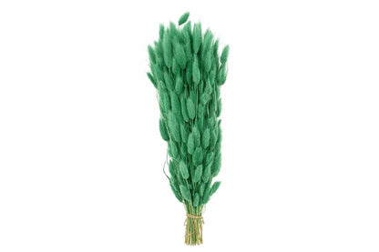 FeedSync:wholesale:ebfe973689a2b007251ca280761a83b3ab5ceb76