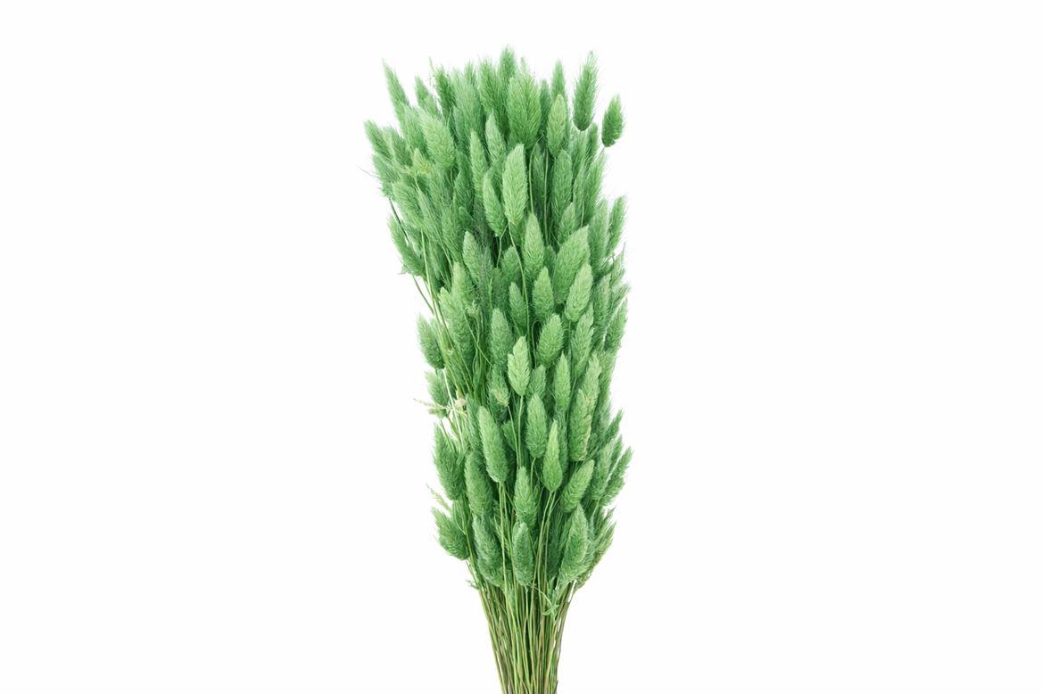 FeedSync:wholesale:ce095ab708b75e460f779117f2492c8dc3cad5a3