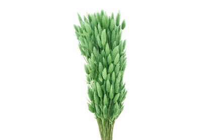 FeedSync:wholesale:ce095ab708b75e460f779117f2492c8dc3cad5a3