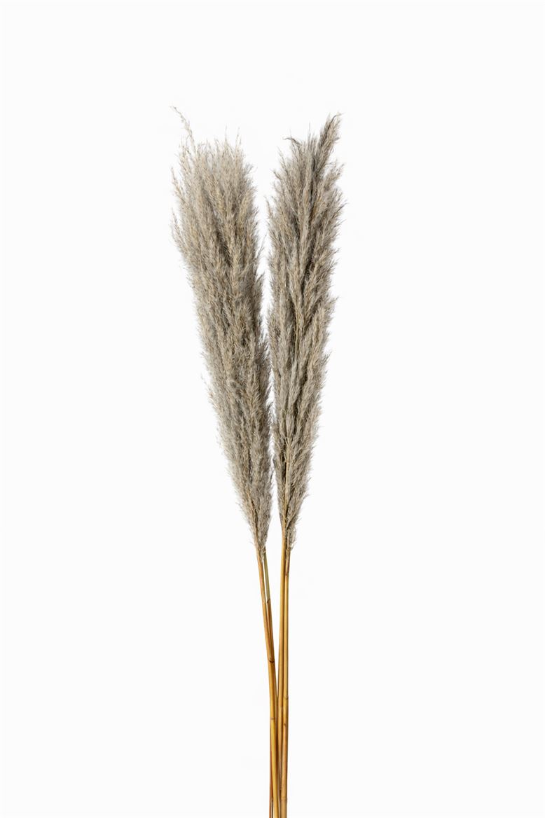 FeedSync:wholesale:3c36cb2451dd758b9fe13db450ecf6a32422bc9e