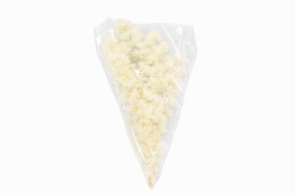 FeedSync:wholesale:8018bc518520e8ffdfe50f703e58a217d6bc463b