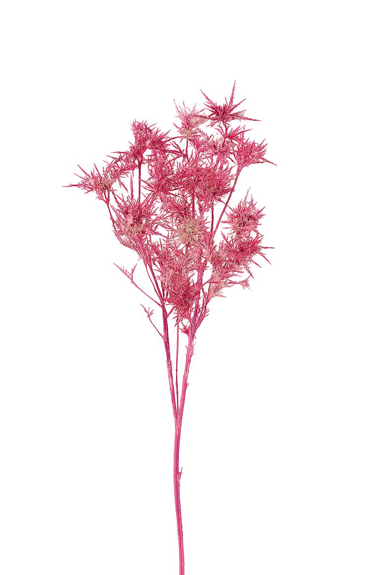 FeedSync:wholesale:faa952b2abbfec968c3550f55e317965abac431c