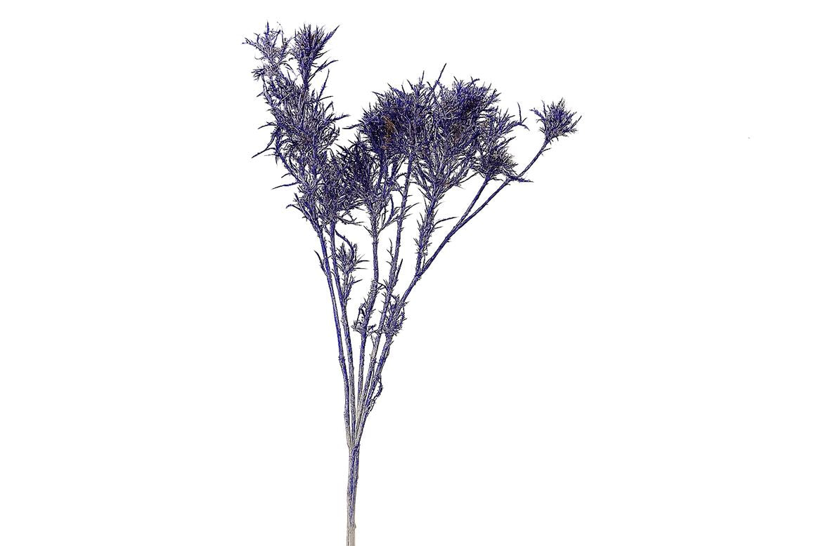 FeedSync:wholesale:40ddf3b88d6590a4ff958235072d9d589597f23c