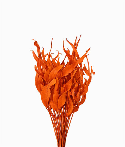 FeedSync:wholesale:b0d620e2d2cec57999ce7c3a7c7dab518cf4f8c7