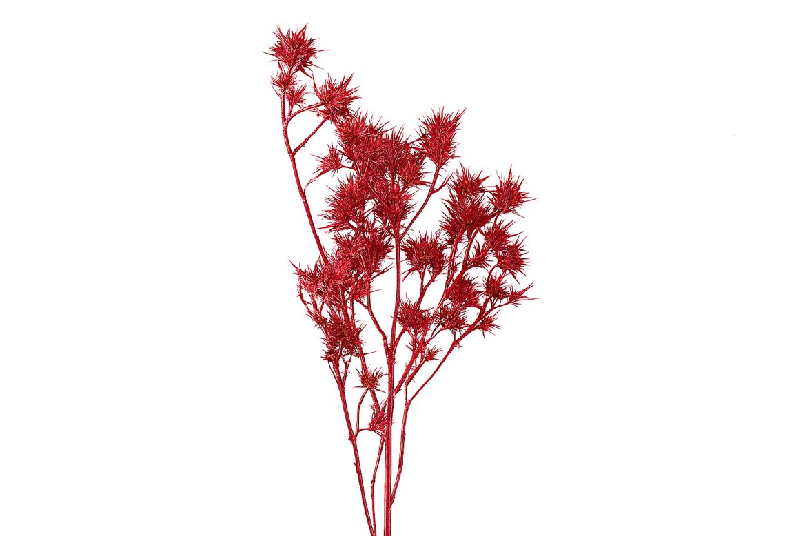 FeedSync:wholesale:5d31d91972f12e6a4468dfdd7f759d485efb85a7