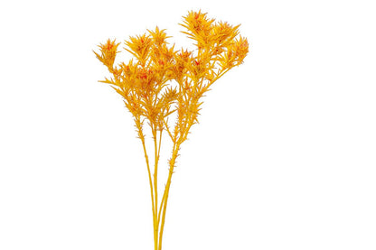 FeedSync:wholesale:523849d7dd2afbf0b562e31f939958f19d82e7f8