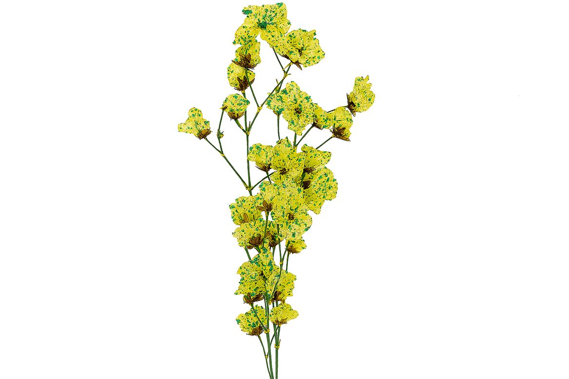 FeedSync:wholesale:18f0b606783185e742d2409b1524226b8c4d19e2