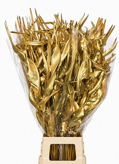 FeedSync:wholesale:acb5fa645f38c2627c74a49b6f833430b3d1e5cb