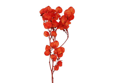 FeedSync:wholesale:2c881c17fb0d3efaa996bbe8f029668038507c9b