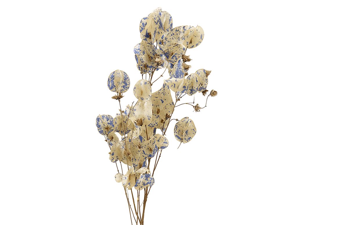 FeedSync:wholesale:e599324454194385f239bdb4187497174441cb9b