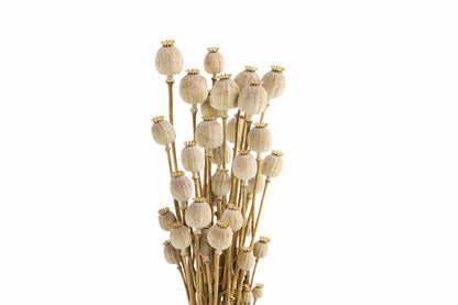 FeedSync:wholesale:4f9b77e403d62f73ef1e0ae9226d201bdc2ec706