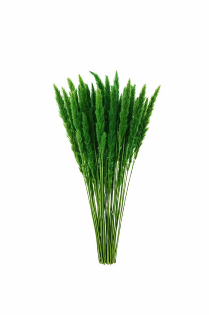 FeedSync:wholesale:f189e42e843e7d7953c6377d798d59b8ac792aa4