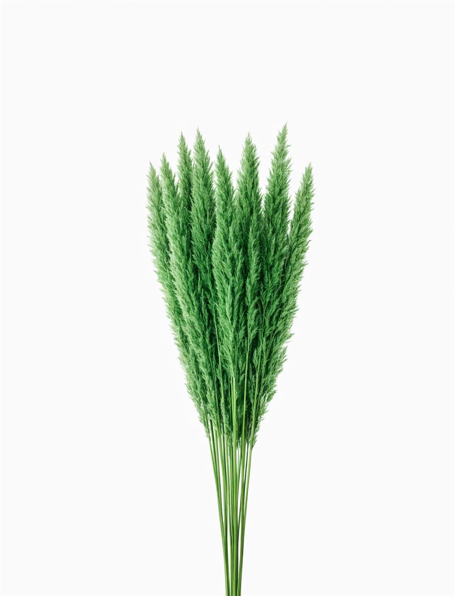 FeedSync:wholesale:a8febe34e0d36035ebdf7f1b4f1439791a00fc3f