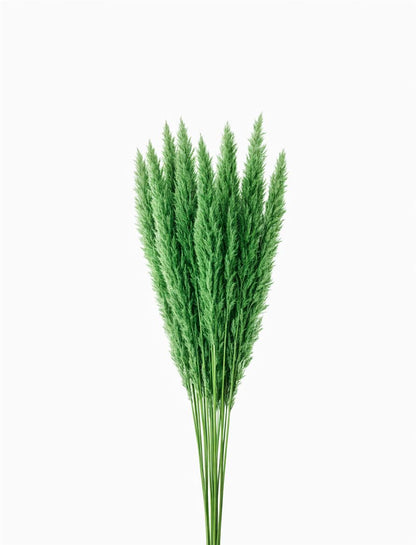 FeedSync:wholesale:a8febe34e0d36035ebdf7f1b4f1439791a00fc3f