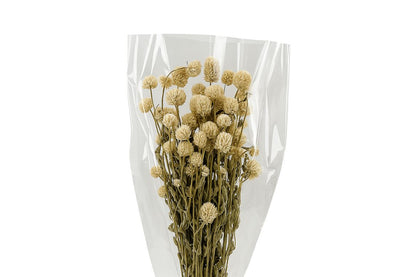 FeedSync:wholesale:a7635286ec4876dcd67394a559eabecb68cc8b1c