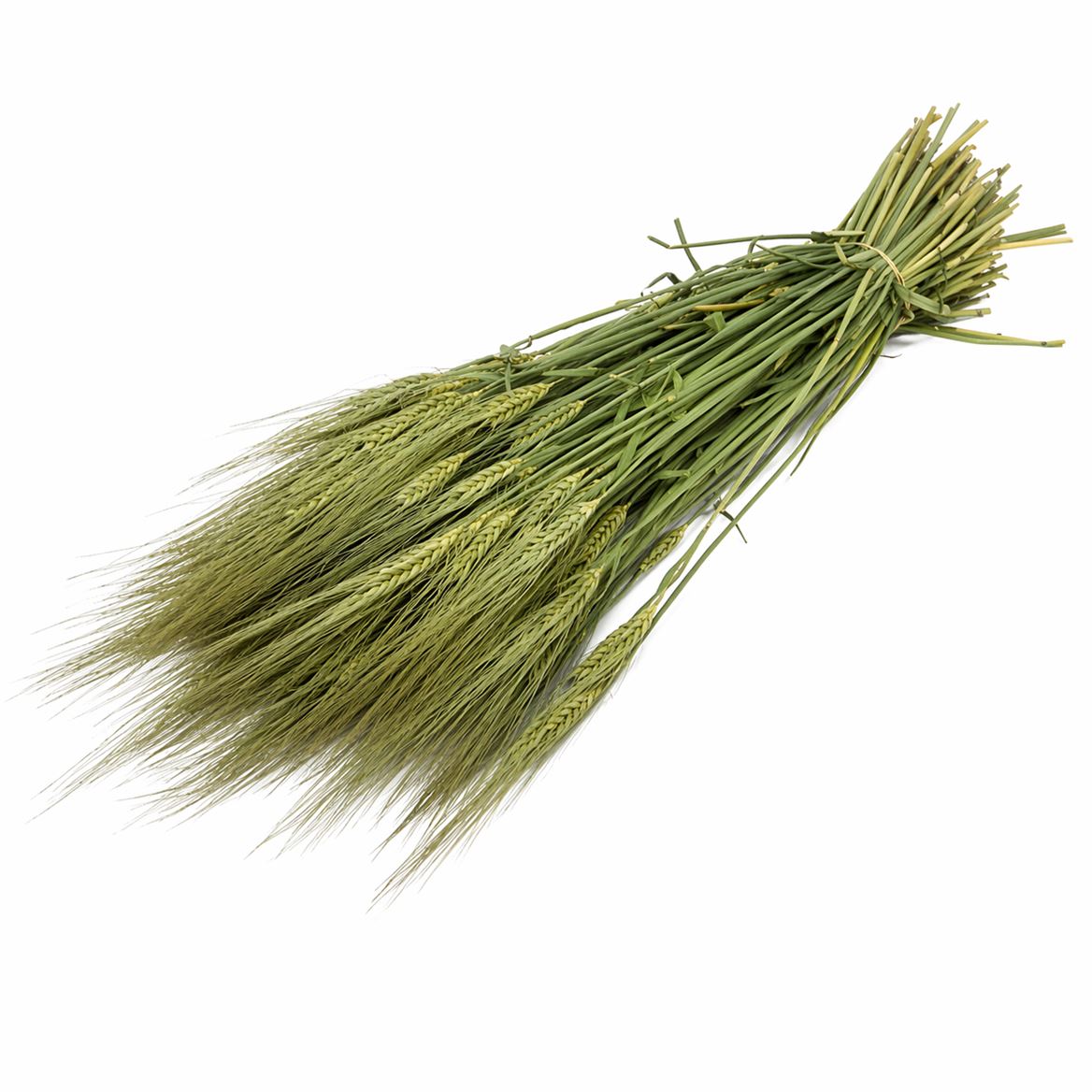 FeedSync:wholesale:8490e4a118d5fffdd47773905aae781c4fc32257