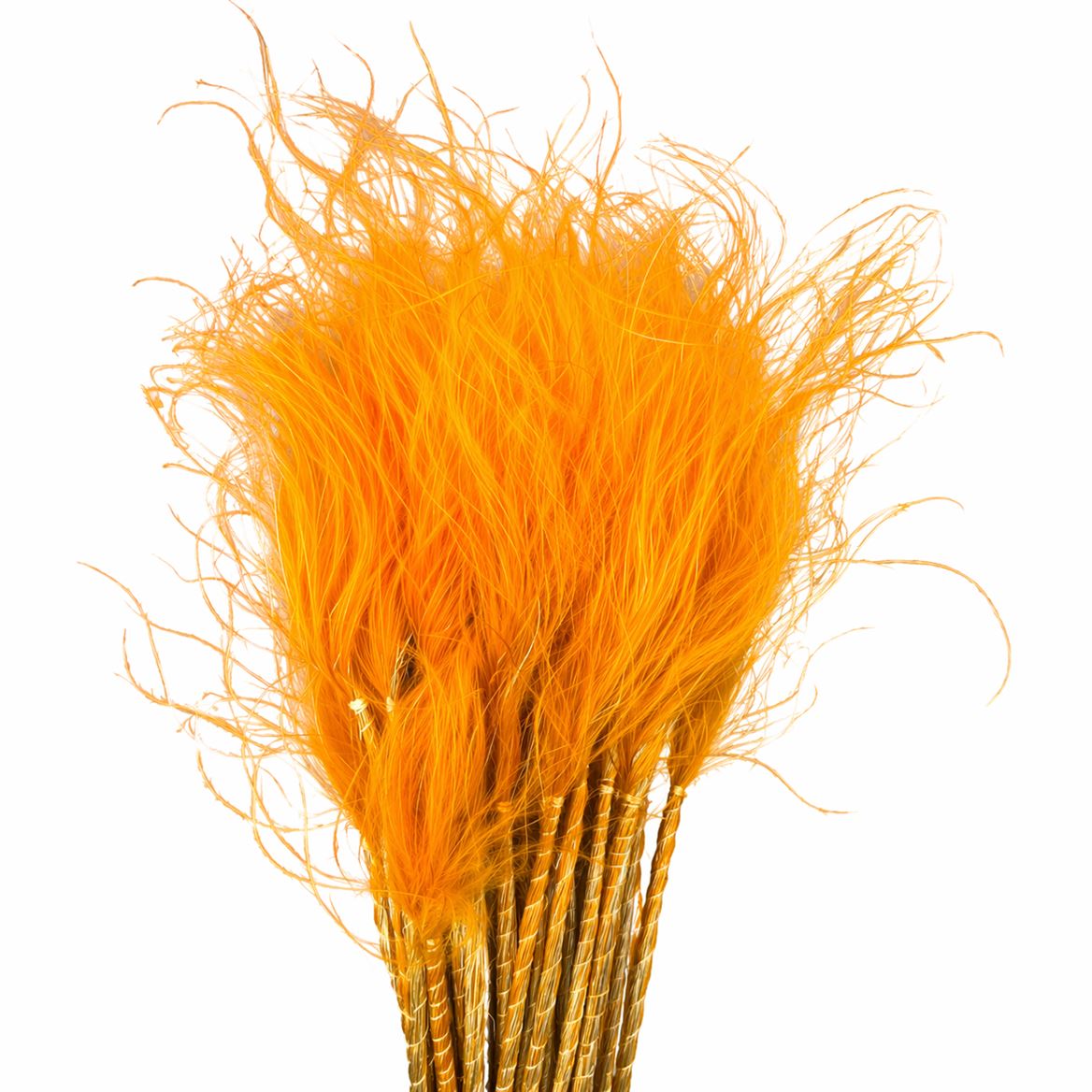 FeedSync:wholesale:023b4d3b1ad32e168c5727f32c46f449f8309bba
