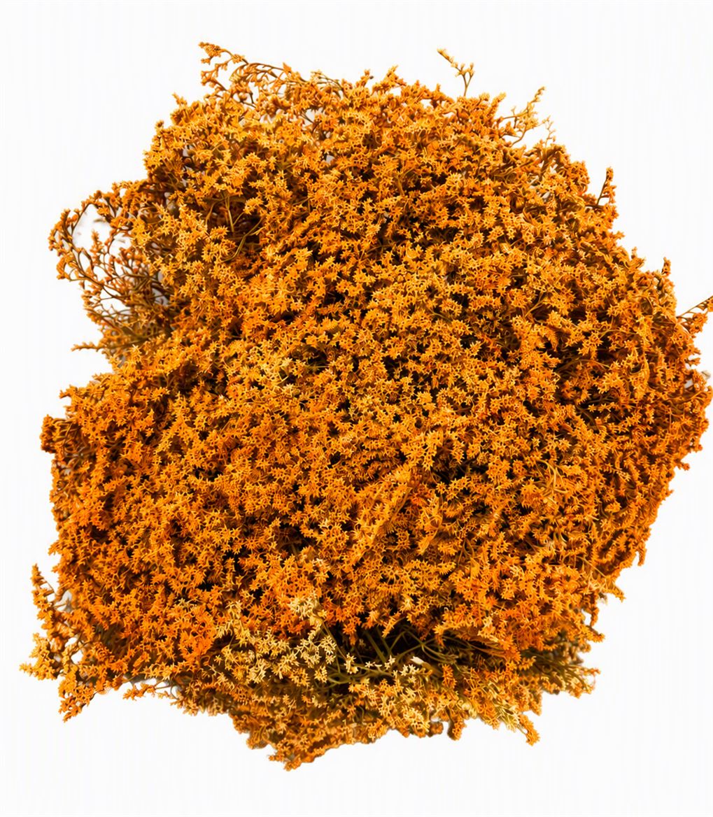 FeedSync:wholesale:27b21f4c3500f94835fd6f5679c4a9c739de81ce