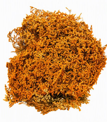 FeedSync:wholesale:27b21f4c3500f94835fd6f5679c4a9c739de81ce
