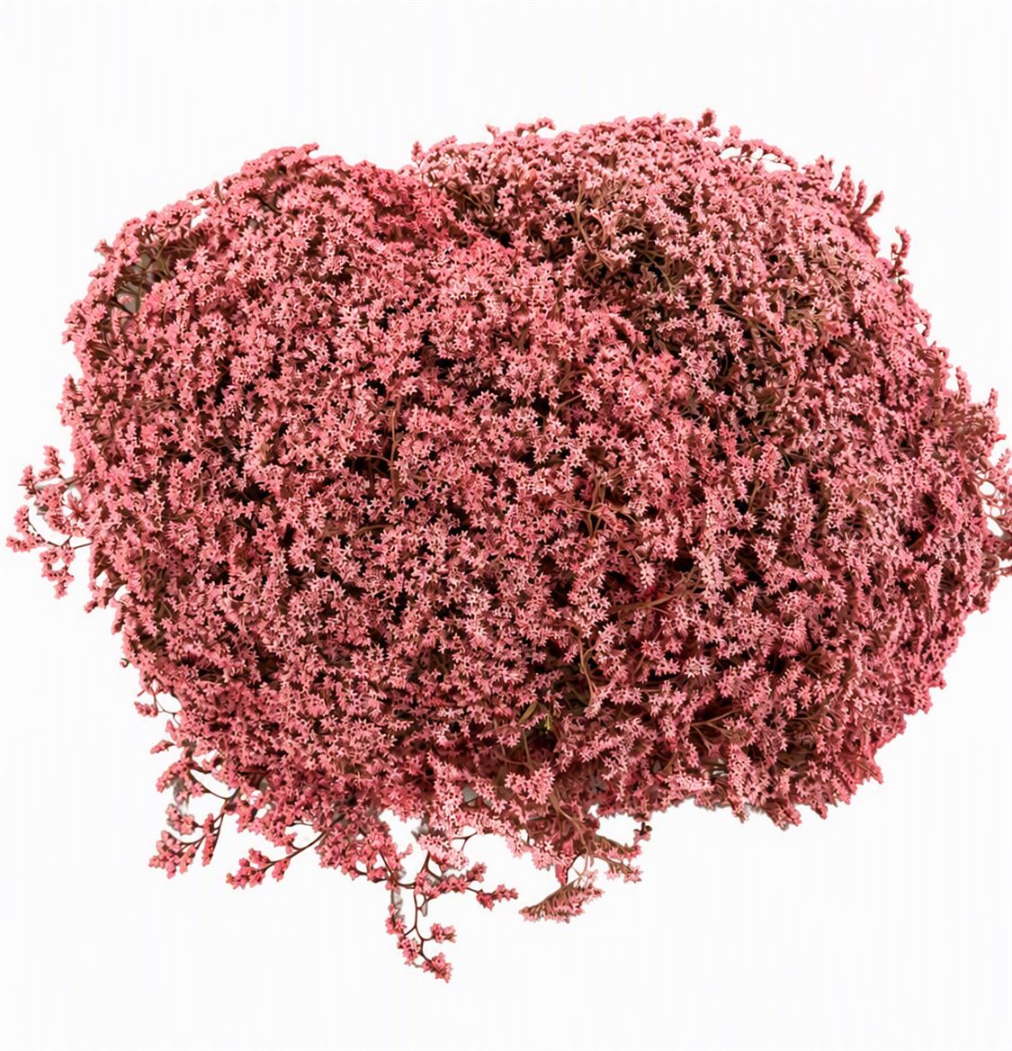 FeedSync:wholesale:ae928351a48478b7f3ec93ade87fc651919df076