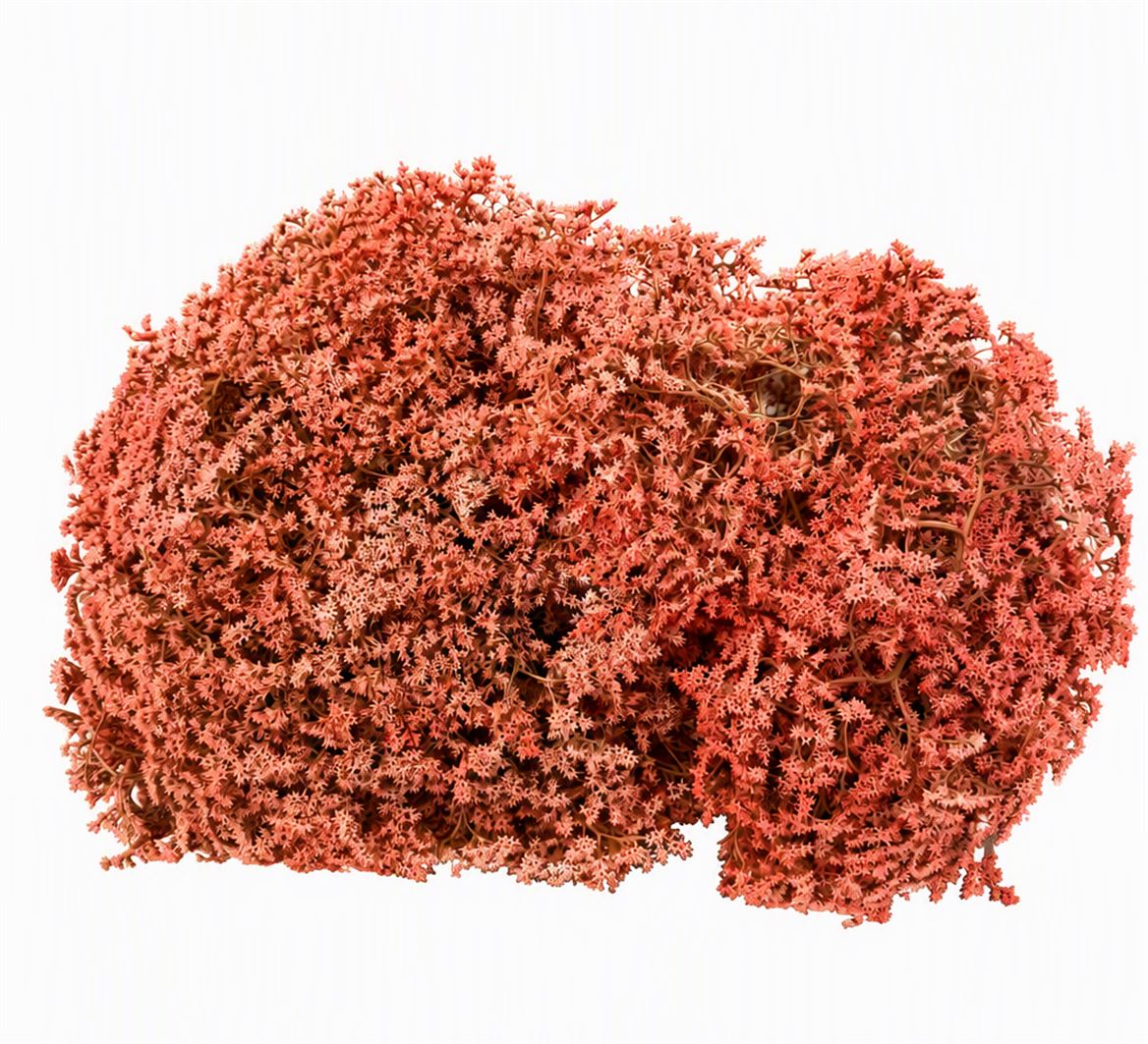 FeedSync:wholesale:fc20efba4bb0a2369c9e259e1e62048d160e4f5f