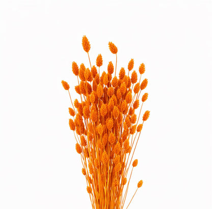 FeedSync:wholesale:f7c28448b022bee9559c0e47a3efddb9a8ee1be1