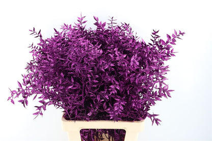 FeedSync:wholesale:a0b6b611b59968e61aeb60eb21a9faf901f12026